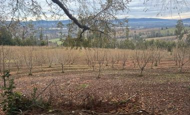 Agrícola en Venta en Gorbea