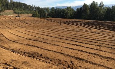 Agrícola en Venta en Gorbea