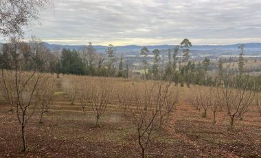 Agrícola en Venta en Gorbea