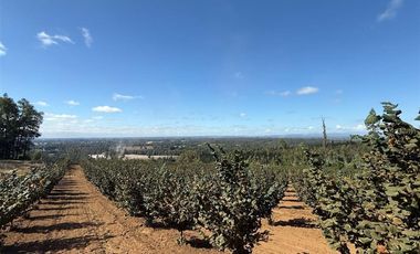 Agrícola en Venta en Gorbea