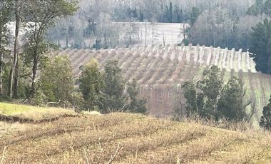 Agrícola en Venta en Gorbea