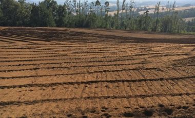 Agrícola en Venta en Gorbea