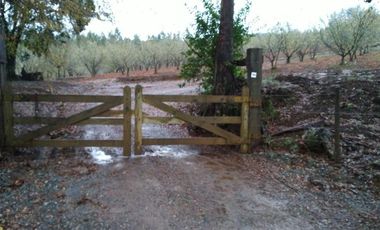 Agrícola en Venta en Gorbea