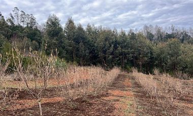 Agrícola en Venta en Gorbea