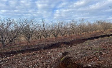 Agrícola en Venta en Gorbea