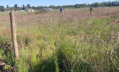 Parcela en Venta en 20 KM CAMINO A ANTUCO SECTOR DIUTO