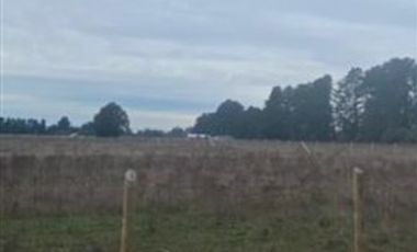 Parcela en Venta en 20 KM CAMINO A ANTUCO SECTOR DIUTO