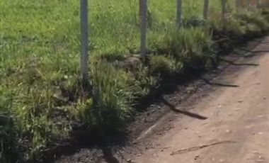 Parcela en Venta en 20 KM CAMINO A ANTUCO SECTOR DIUTO