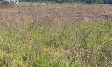 Parcela en Venta en 20 KM CAMINO A ANTUCO SECTOR DIUTO