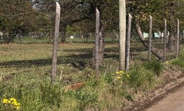 Parcela en Venta en 20 KM CAMINO A ANTUCO SECTOR DIUTO