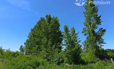 Parcela en Venta en Santa Filomena HJ,12 Loteo 12-1 (Camino Villaseca), Retiro