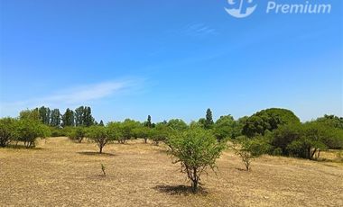 Parcela en Venta en Santa Filomena HJ,12 Loteo 12-1 (Camino Villaseca), Retiro