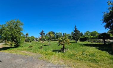 Local Comercial en Venta en Salto del Laja