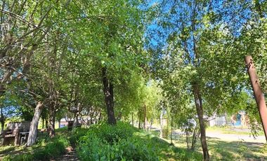 Local Comercial en Venta en Salto del Laja