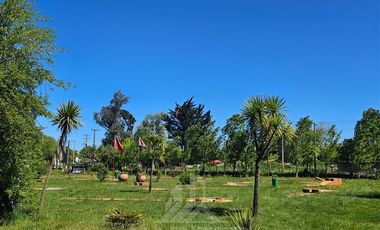 Local Comercial en Venta en Salto del Laja