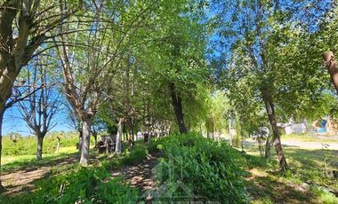 Local Comercial en Venta en Salto del Laja