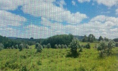Parcela en Venta en Séptima Faja camino de Villarrica a Loncoche km 16