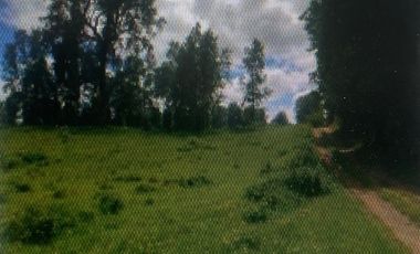 Parcela en Venta en Séptima Faja camino de Villarrica a Loncoche km 16