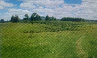 Parcela en Venta en Séptima Faja camino de Villarrica a Loncoche km 16