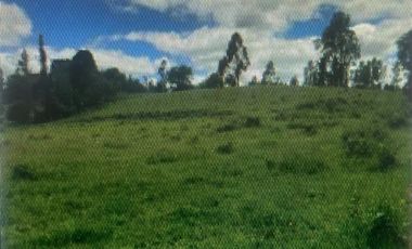 Parcela en Venta en Séptima Faja camino de Villarrica a Loncoche km 16
