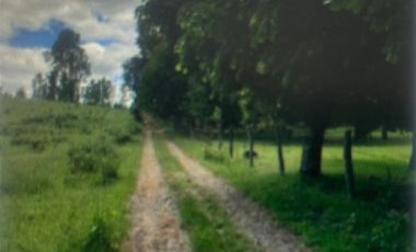 Parcela en Venta en Séptima Faja camino de Villarrica a Loncoche km 16