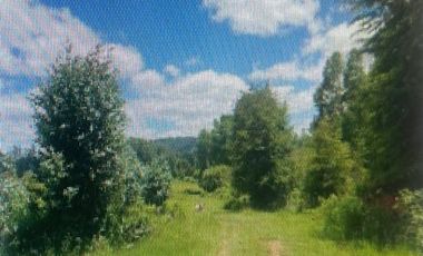 Parcela en Venta en Séptima Faja camino de Villarrica a Loncoche km 16