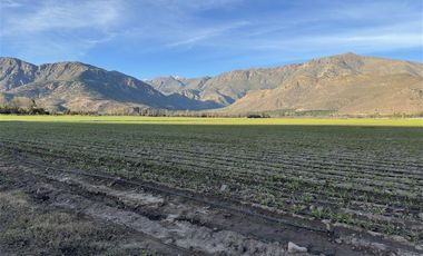 Agrícola en Venta en Camino a Cerrillos