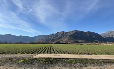 Agrícola en Venta en Camino a Cerrillos