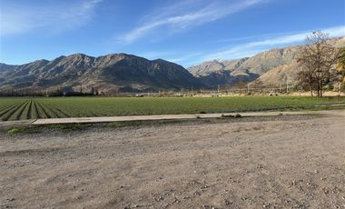 Agrícola en Venta en Camino a Cerrillos