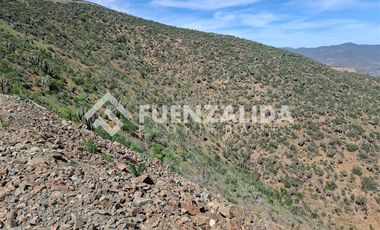 Sitio en Venta en Cerro San Luis