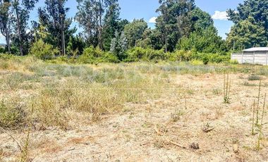 Sitio en Venta en Mitrinhue, Camino a Santa Juana
