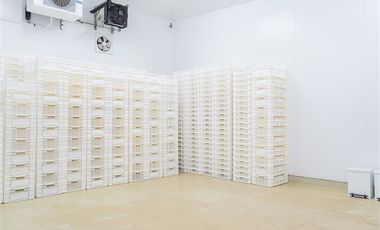 Local Comercial en Venta en Melefquen