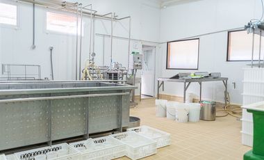 Local Comercial en Venta en Melefquen