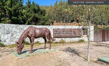 Parcela en Venta en Mitrinhue, Camino a Santa Juana