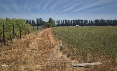 Parcela en Venta en CAMINO SANTA FE,CRUCE LA VICTORIA, 2 KM RIPIO