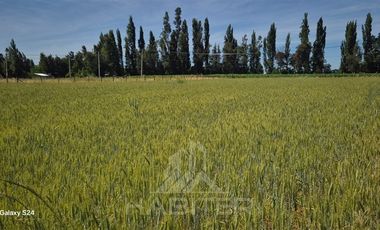 Parcela en Venta en CAMINO SANTA FE,CRUCE LA VICTORIA, 2 KM RIPIO