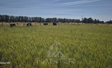 Parcela en Venta en CAMINO SANTA FE,CRUCE LA VICTORIA, 2 KM RIPIO