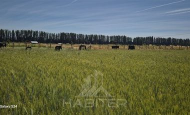 Parcela en Venta en CAMINO SANTA FE,CRUCE LA VICTORIA, 2 KM RIPIO