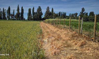 Parcela en Venta en CAMINO SANTA FE,CRUCE LA VICTORIA, 2 KM RIPIO