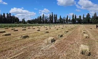 Parcela en Venta en CAMINO SANTA FE,CRUCE LA VICTORIA, 2 KM RIPIO