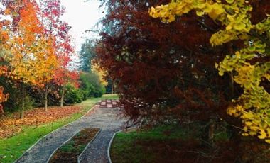 Casa en Arriendo en Camino Carampangue - Colegio Trebulco