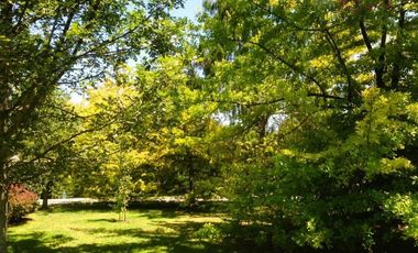 Casa en Arriendo en Camino Carampangue - Colegio Trebulco