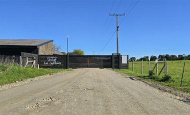 Parcela en Venta en Condominio Los Copihues