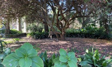 Casa en Arriendo en Camino Antiguo Melipilla El Oliveto