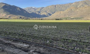 Parcela en Venta en El Ñilhue