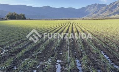 Parcela en Venta en El Ñilhue