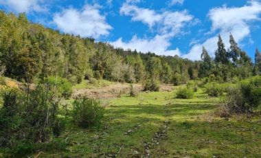 Parcela en Venta en Río Llico