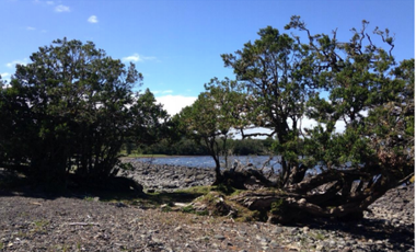 Sitio en Venta en Lago Puyehue