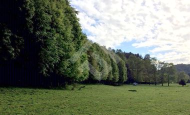 Sitio en Venta en Lago Puyehue