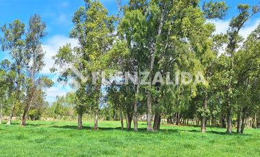 Agrícola en Venta en A 9 kilómetros de Fresia ruta V220